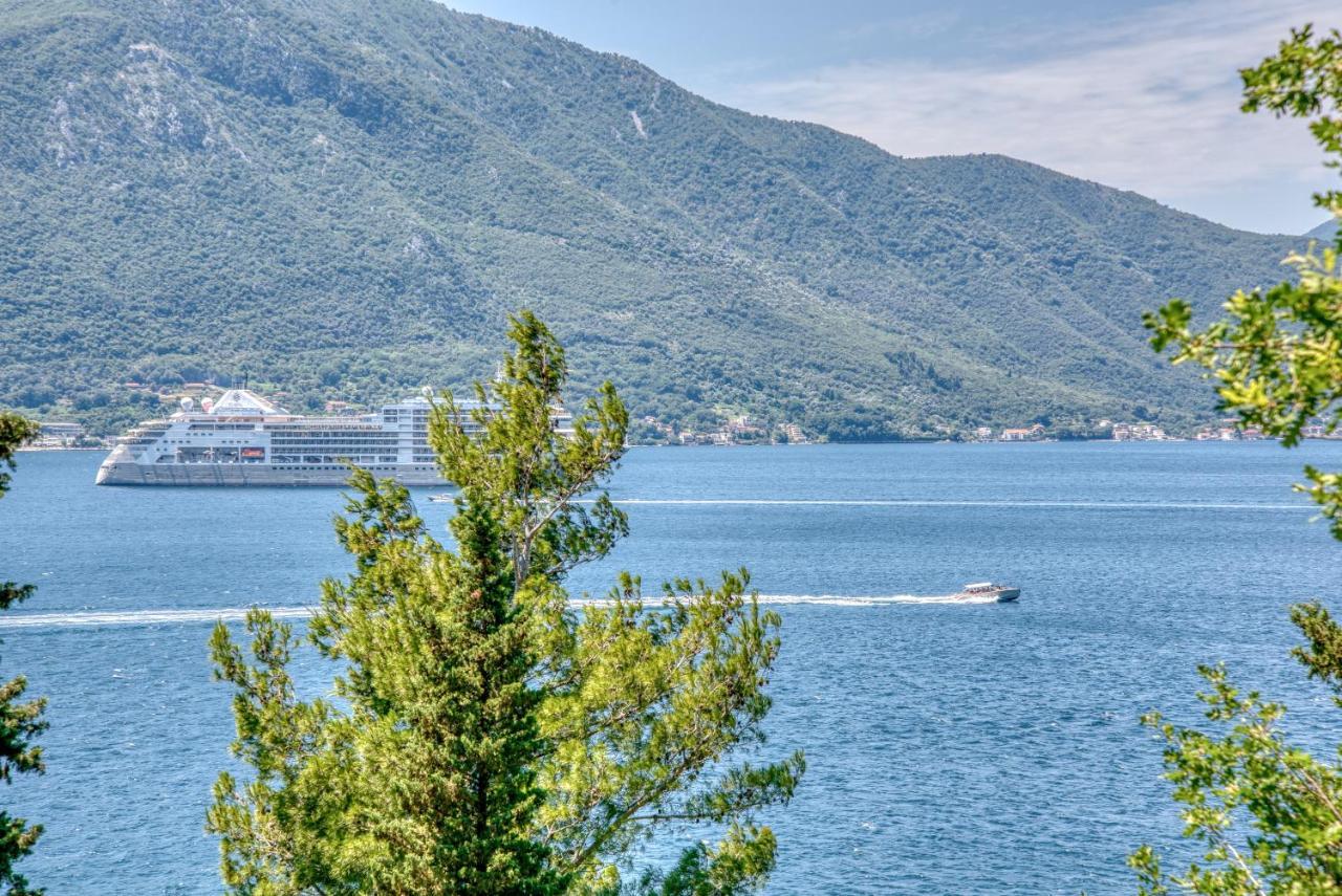 Apartment Elegant Kotor Bagian luar foto