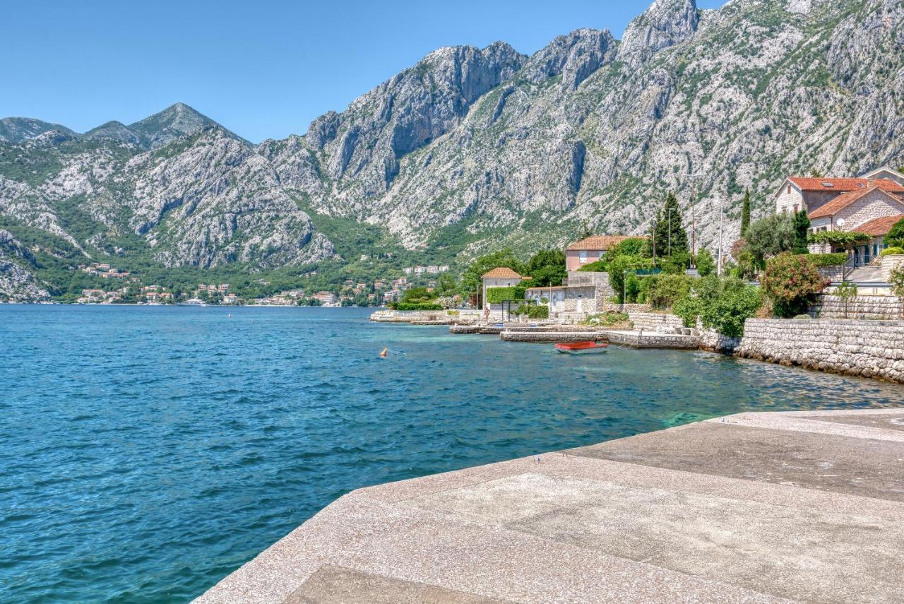 Apartment Elegant Kotor Bagian luar foto